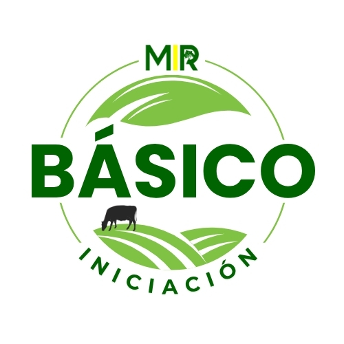 MIR BÁSICO