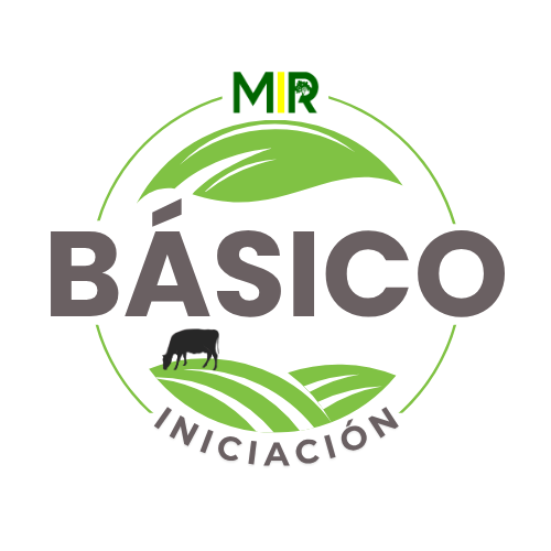 MIR BÁSICO